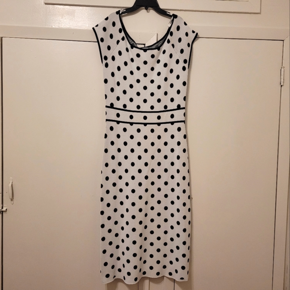 New York & Company Polka dot Dress